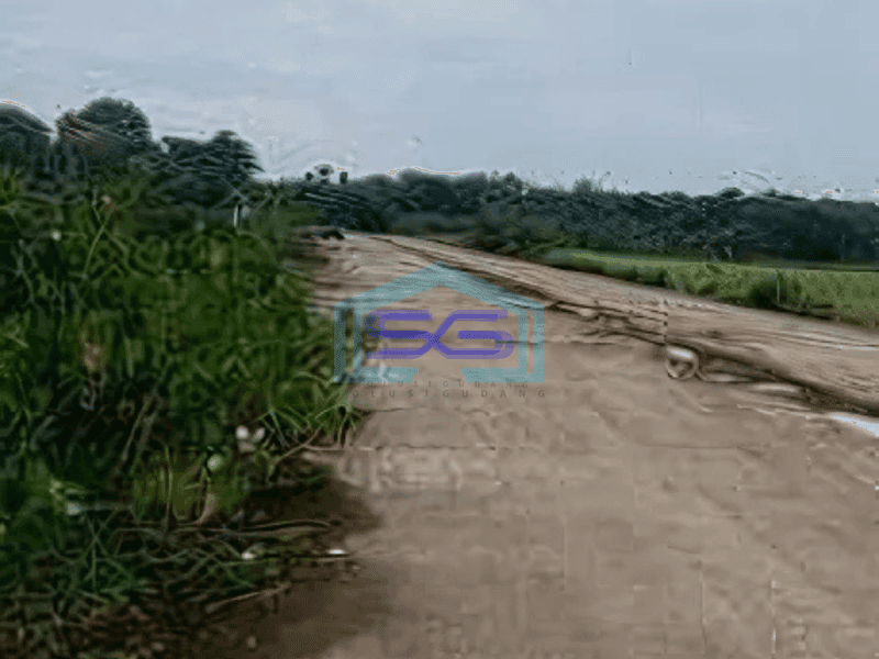 Dijual Tanah Strategis di Ciangir Legok Tangerang Banten LT 14 Ha