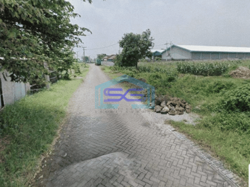 Dijual Tanah di Kawasan Industri Murah Cocok Untuk Pabrik Di Purwodadi Pasuruan LT 50000m2