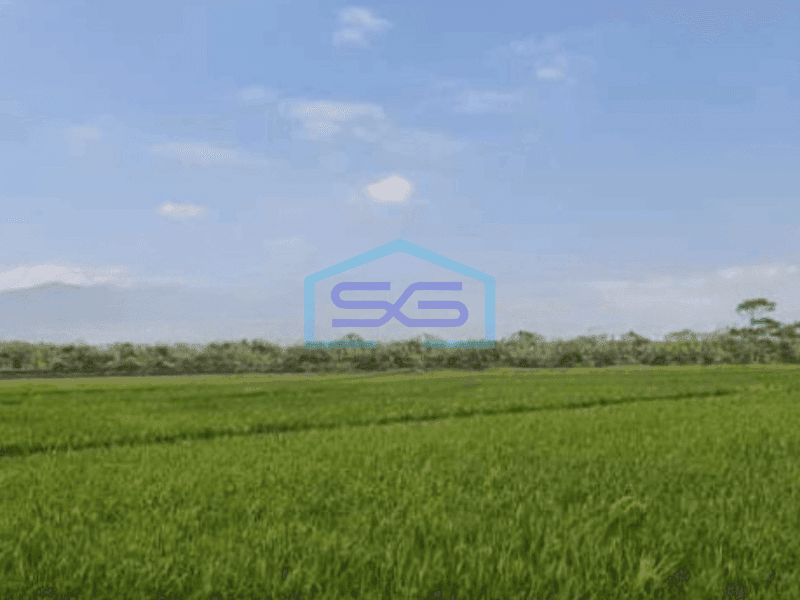 Disewakan Tanah Lokasi Strategis di Area Industri Majalaya, Bandung LT 35000 m²