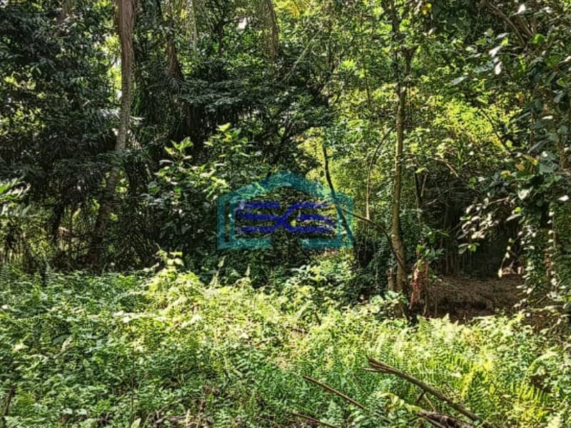 Dijual Tanah di Jalan Sukasari Soekarno Hatta Palembang LT 4000m2