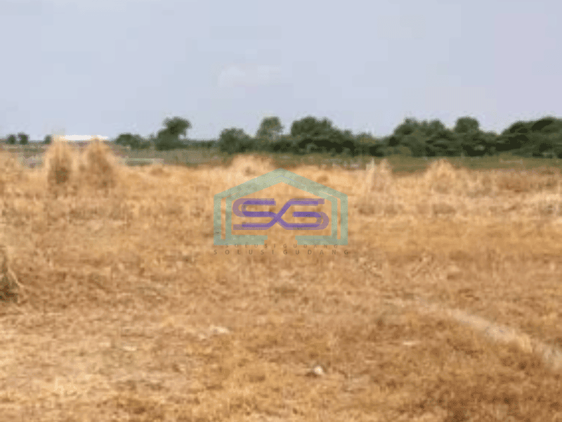 Disewakan Tanah Industri Luas 5000 m² di Sidoarjo Jawa Timur