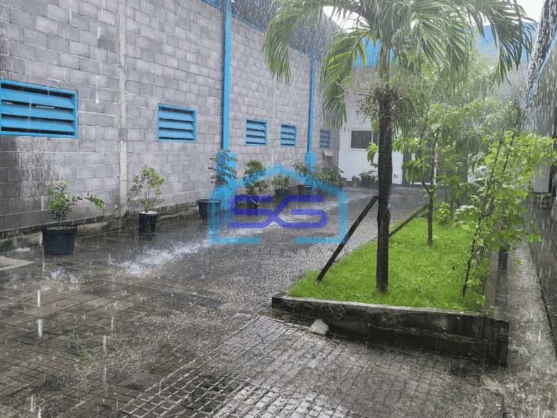 Disewakan Gudang Siap Pakai Lokasi Strategis di Cerme Gresik