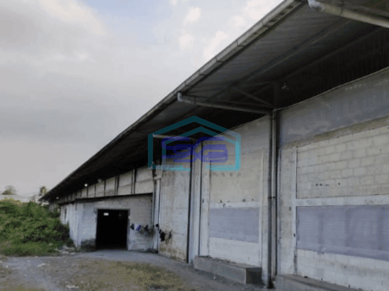 Dijual Gudang Siap Pakai Lokasi Gunung Gangsir Jl wicaksono Beiji Pasuruan Luas Bangunan 57000 m²