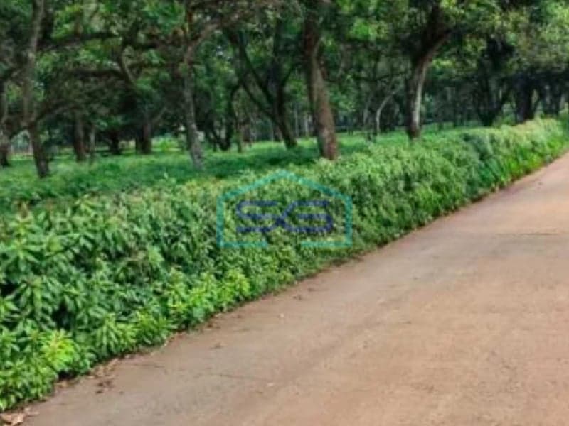 Dijual Tanah Lokasi Strategis Di Cisauk Tangerang Luas Tanah 15000m²