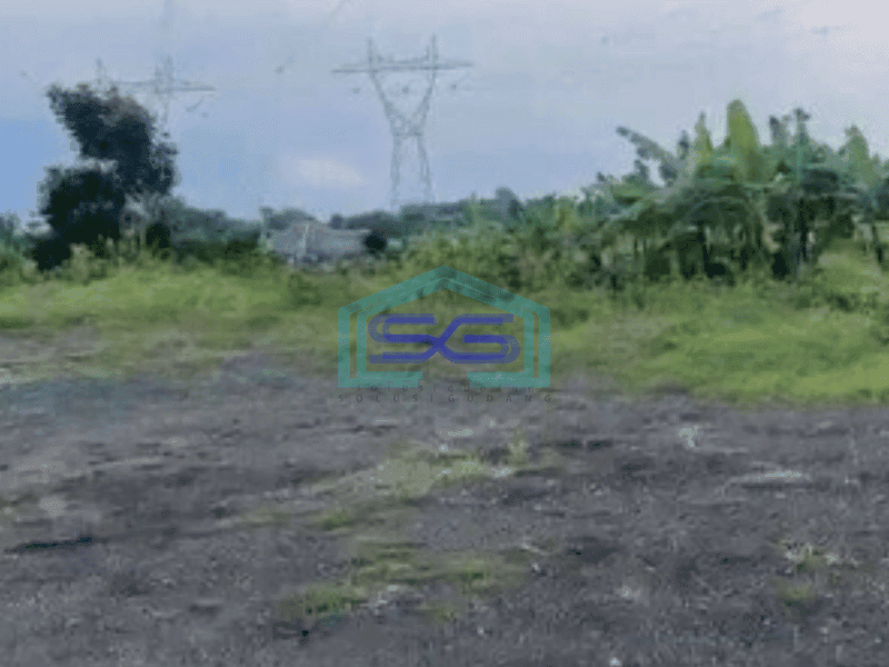 Disewakan Tanah Lokasi Strategis Luas 5000 m² di Legok Tangerang