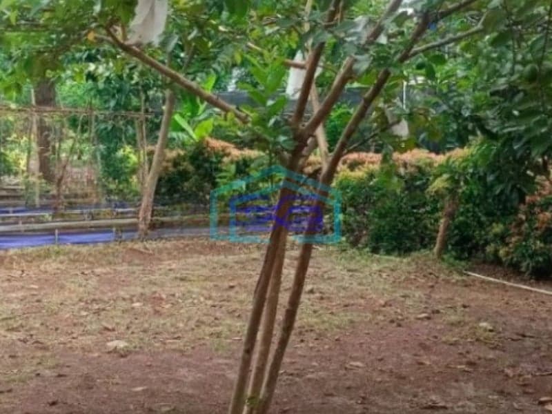 DiJual Cepat Tanah Luas dan Matang Pinggir Jalan Utama M Kahfi Jakarta Selatan ifikasi Luas Tanah 3000 m²