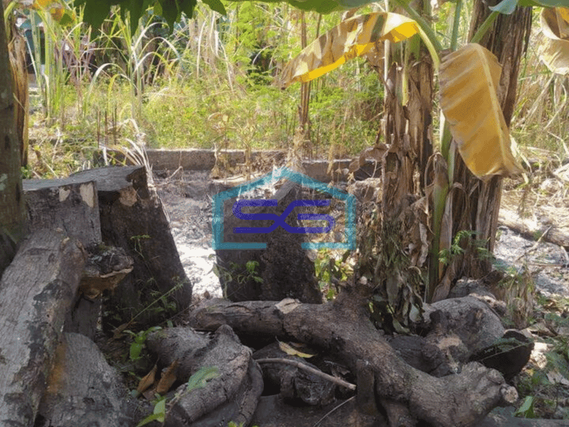 Dijual Cepat Tanah Kosong cocok untuk Gudang di Lubang Buaya Setu Kabupaten Bekasi