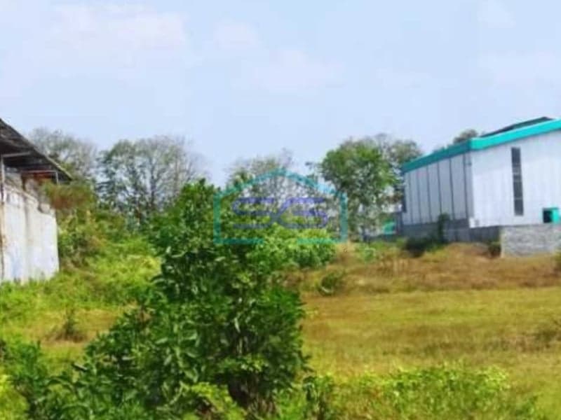 Disewakan Tanah Pekarangan Siap Bangun di Palur Karanganyar Solo Luas Tanah 5260m2