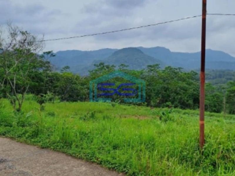 Dijual Tanah Leuwiang Lewisadeng Bogor Luas Tanah 120000m2