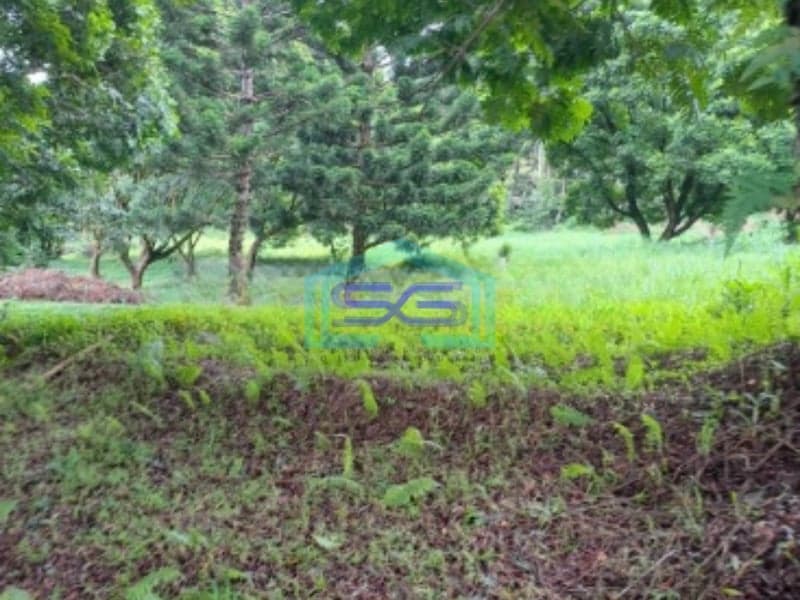 Dijual Tanah Jalan Kawasan Cisarua Bogor Luas Tanah 10000m2