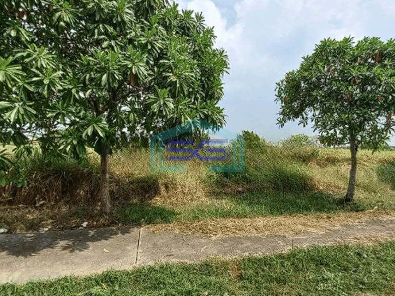 Dijual Tanah Dalam Kawasan Industri Cikarang Pusat Bekasi LT 11185m2