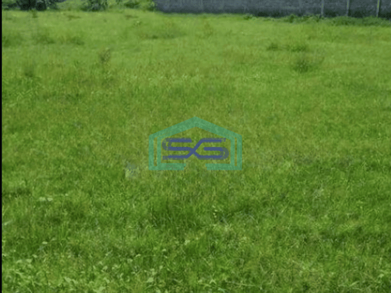 Disewakan Tanah di Jalan Mangesti Sukoharjo Luas Tanah 2400m2
