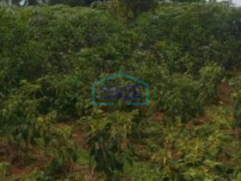 Dijual Tanah Luas 34300 m² Bebas Banjir di Bogor Jawa Barat