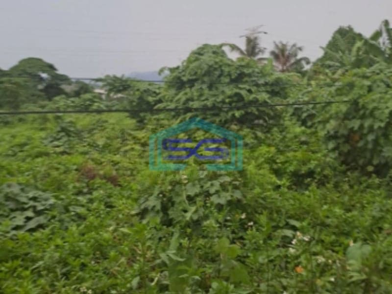 Dijual Tanah Depan Sirkuit Sentul Babakan Madang Bogor Luas Tanah 1700m2