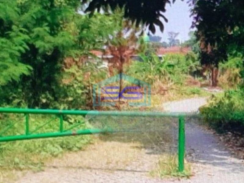 Dijual Tanah Murah di Bogor Lokasi Strategis Akses Mudah