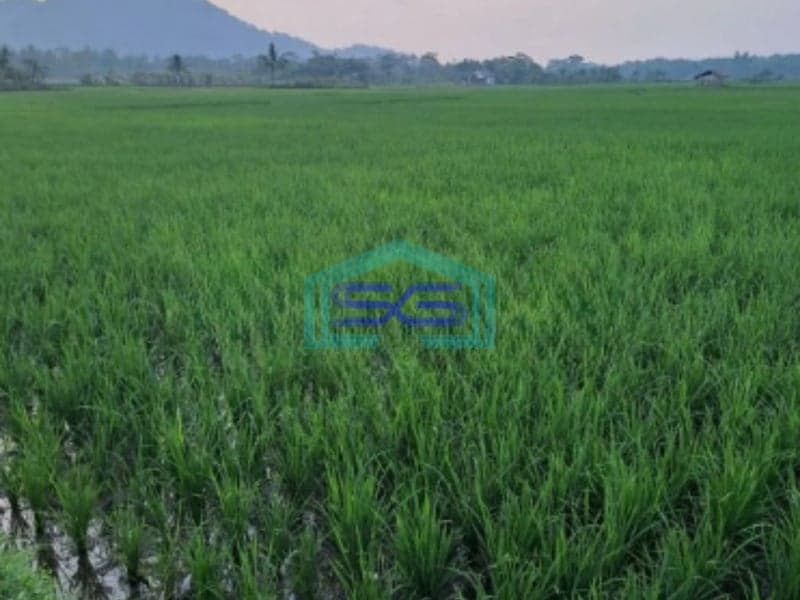 Dijual Tanah Lokasi Strategis Di Rumpin Bogor Luas Tanah 1000m2