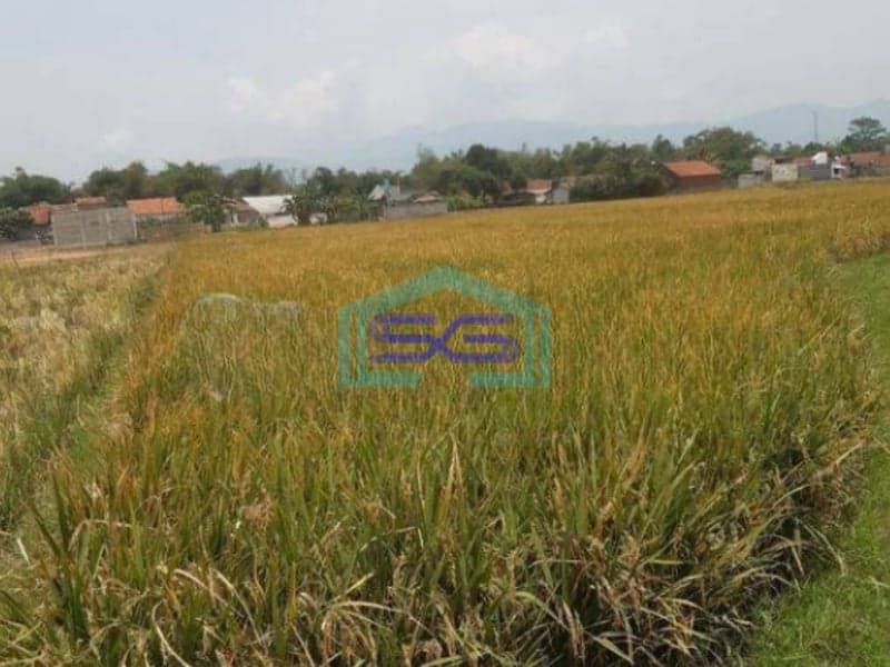 Dijual Cepat Tanah di Ciparay Bandung LT 4079m2