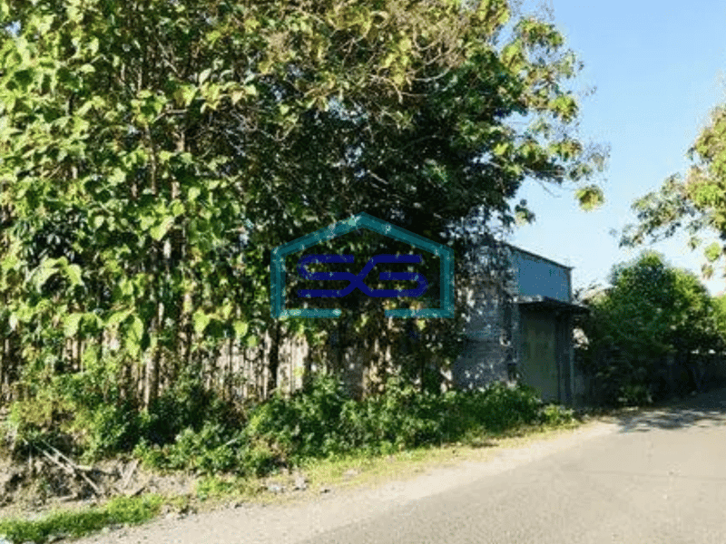 Dijual Tanah pekarangan strategis bonus 50 pohon jati di tasikmadu karanganyar
