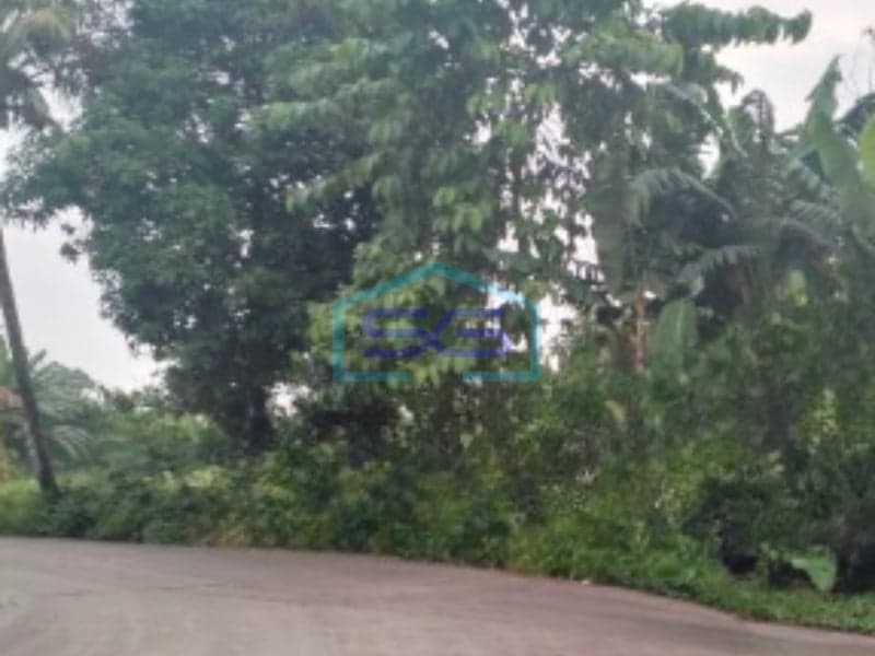 Dijual Tanah Luas 9700 m² Lokasi di Tigaraksa Tangerang Banten
