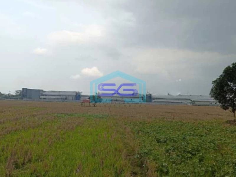 Dijual Tanah Siap Bangun Di Sumber Jaya Majalengka Jawa Barat Luas Tanah 30000m2