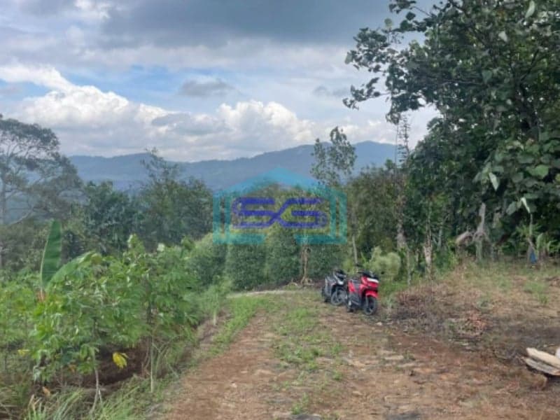 Dijual Tanah Desa Cibadak Sukamakmur Jongol Bogor SHM Luas 3500m2