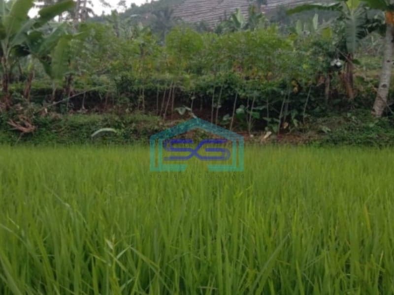 Dijual Tanah Darat di Cidahu Sukabumi Luas 9000m2