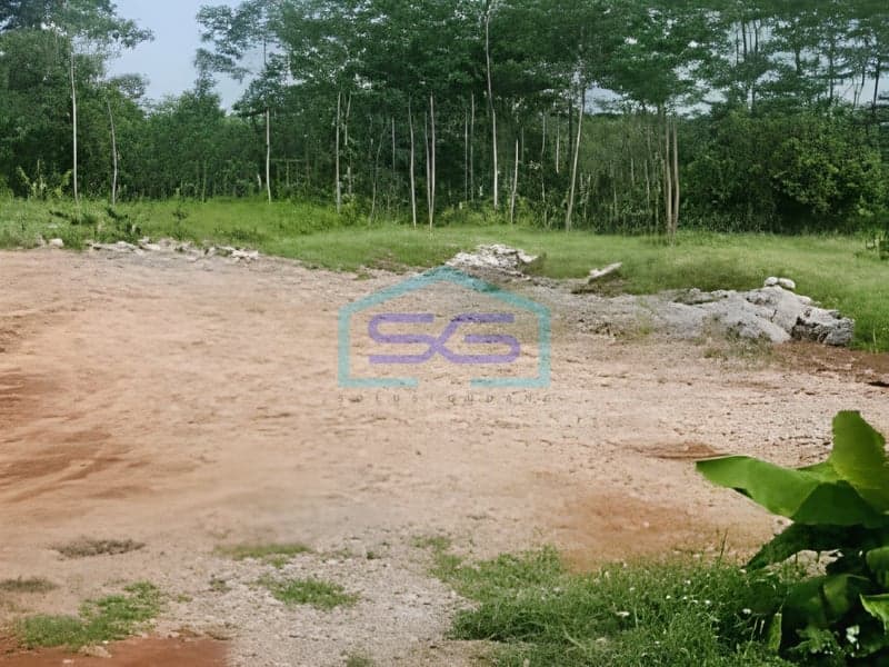 Strategic Land for Sale in Bergas Semarang Central Java Land Area 110000 m²