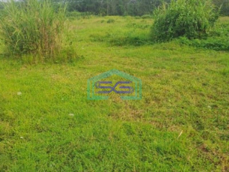 Dijual Tanah Jalan Raya Rumpin Bogor Luas Tanah 100000m2