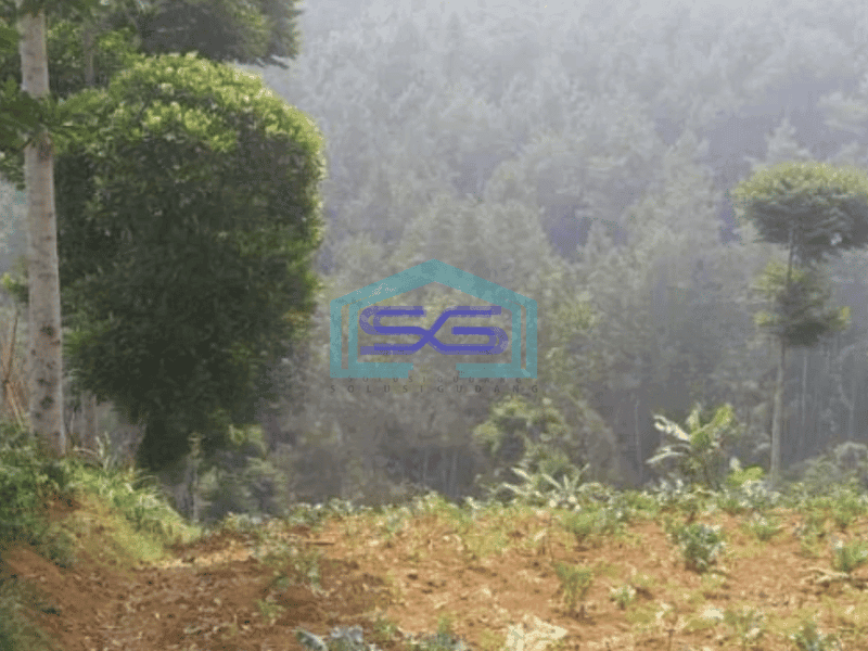 Dijual Tanah Siap Bangun Di Dago Ciburial Luas Tanah 2740 m²