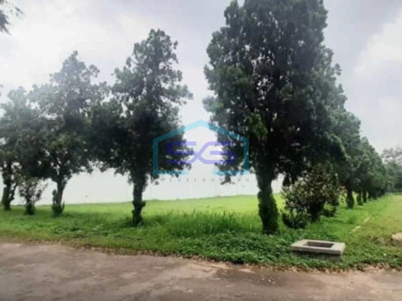 Disewakan Gudang Bebas Banjir di Leuwigajah Cimahi, Bandung Barat LB 12000 m²