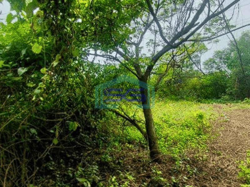 Dijual Tanah Kavling Dalam Kawasan Industri Lokasi di Cikarang Strategis