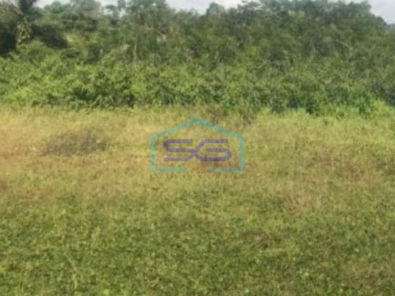 For Sale: Spacious Land 22111 sqm in Lebak, Banten