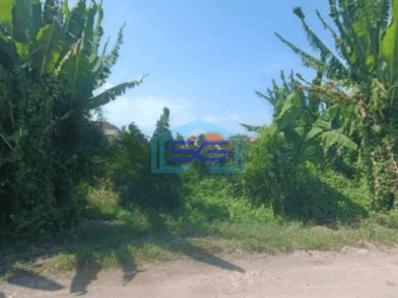 Disewakan Tanah Luas Bangunan 100 m di Sanur Denpasar Bali
