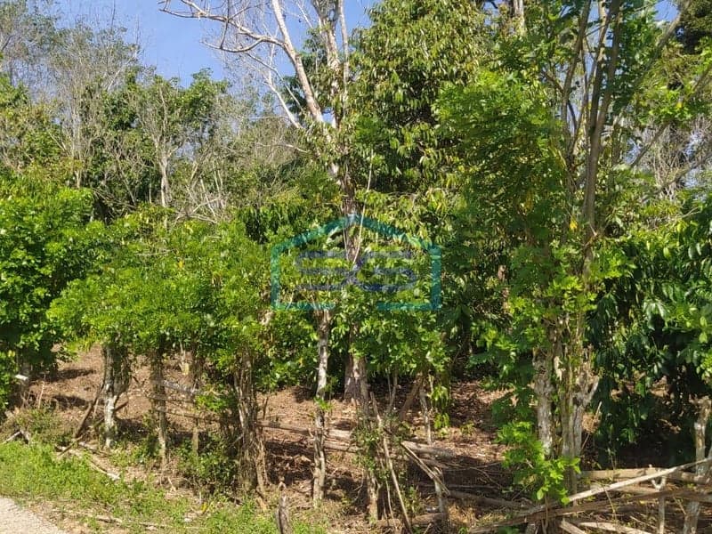 Dijual Tanah di Pinggir Jalan Kabupaten Lahat, Sumatera Selatan Luas 12651 m²
