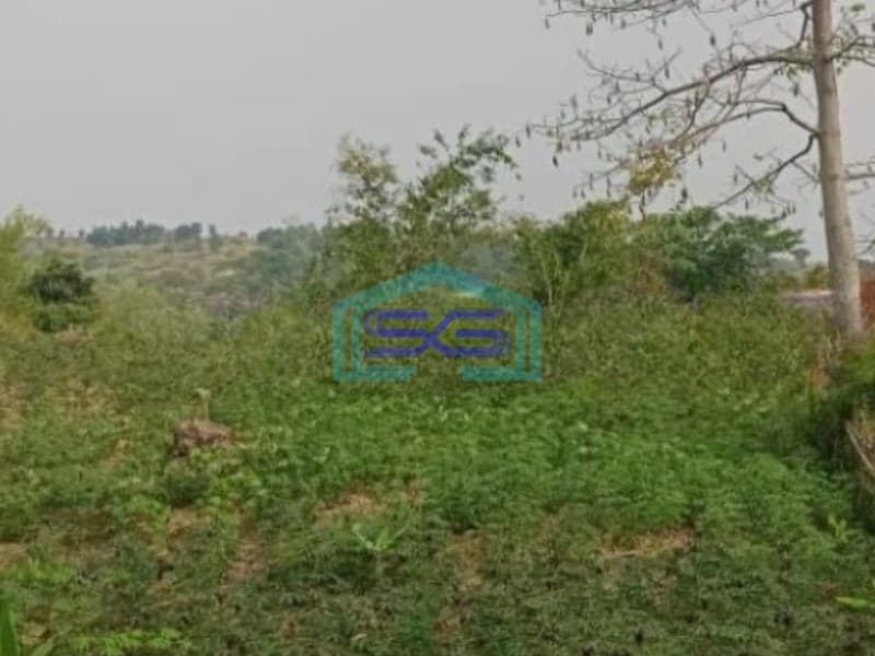 Dijual Tanah Lokasi Bagus Desa Pabuaran Sukamakmur Bogor Luas Tanah 20000m2