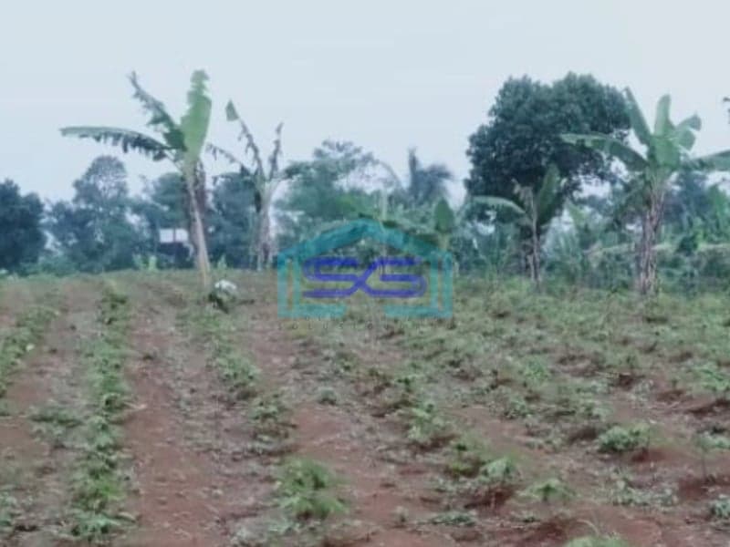 Dijual Tanah Desa Mangunjaya Ciambar Sukabumi Luas Tanah 300000m2
