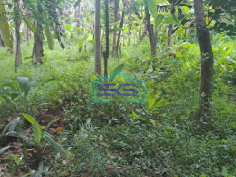 Dijual Tanah Lokasi di Cidokom Rumpin Bogor Luas 1115m2
