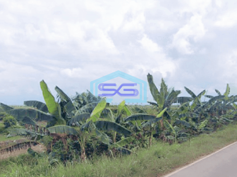 Dijual Kavling Tanah Industri Luas Tanah 20 Ha Sumatera Selatan