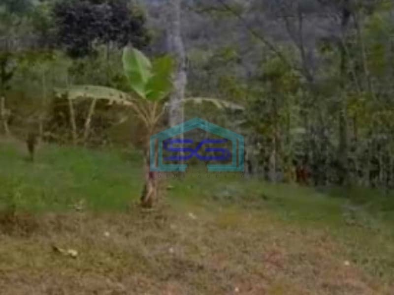 Dijual Tanah Super Strategis Pekarangan Bandungan Semarang Luas 20000m2