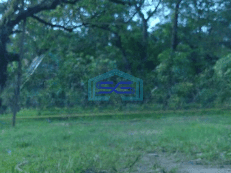 Dijual Tanah Luas 55000 m² Lokasi Strategis di Gunung Putri Bogor