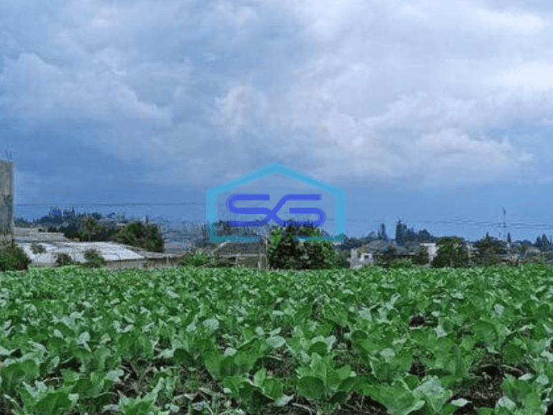 Dijual  Kavling Lokasi Strategis View Gunung di Setiabudi Regency Bandung