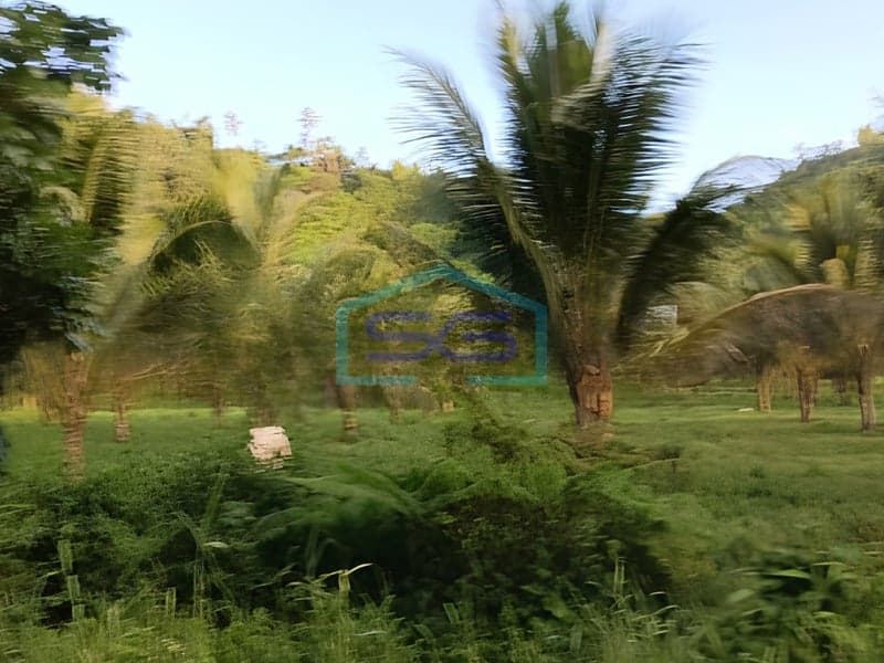 Dijual Tanah di Jalan Ring Road 2, Manado Sulawesi Utara LT 10000 m²