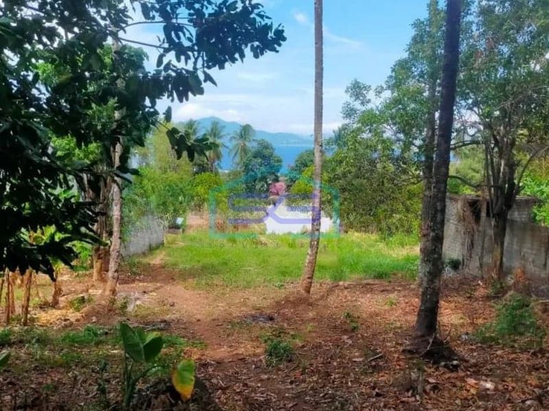 Dijual Tanah 1,1 Hektar di Malalayang, Manado Sulawesi Utara Luas 11000 m²