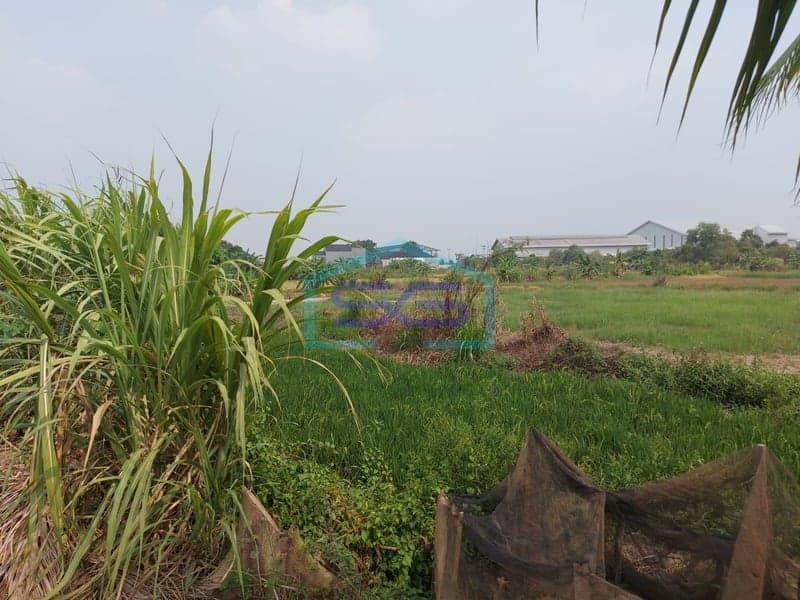 For Sale: Strategic Cheap Land in Ogan Ilir, South Sumatra - Land Area 50425 m²