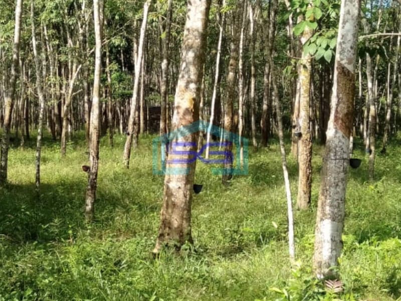 Dijual Tanah Plus 2 Unit Bangunan di Pulau Harapan Km 28 Jalan Palembang LT 17000m2