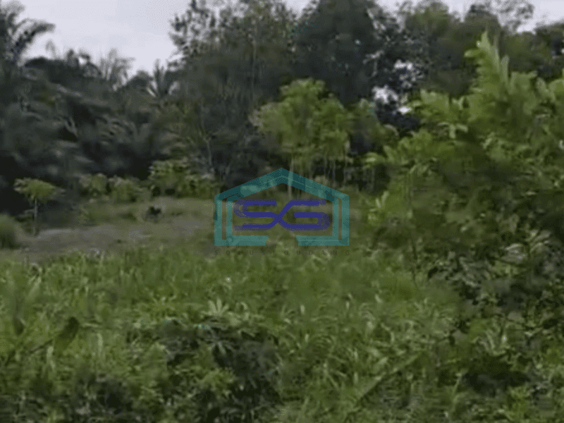 Dijual Tanah Di Siak Riau Luas Tanah 10000 m²