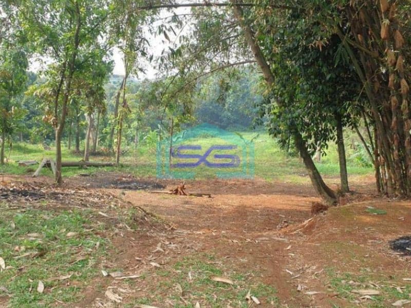 Dijual Tanah di Raya Parung Bogor Dekat Pasar Parung Dipinggir Jalan Raya SHM Luas 35000m2