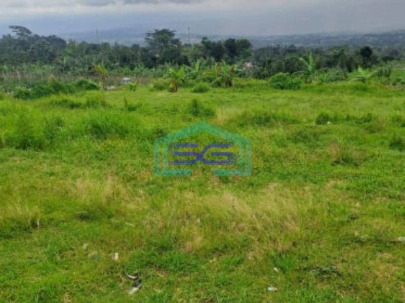 Dijual Tanah Strategis Di Jeruk Bogor Jawa Barat Luas Tanah 7000m2