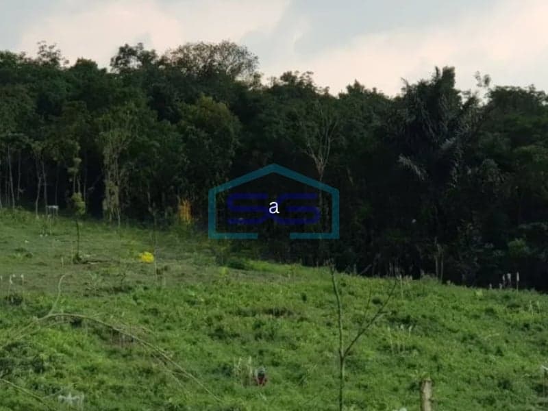Dijual Tanah di Cipanas Lebak, Banten Dengan Luas 26.000 m2