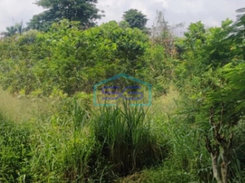 Dijual Tanah Luas 16355 m² Lokasi Bebas Banjir di Bogor Jawa Barat